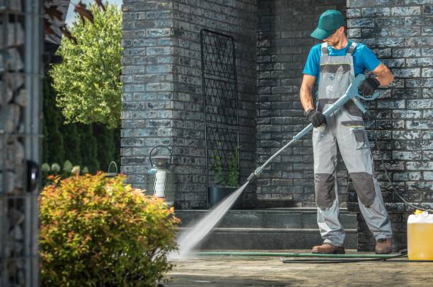 Best Sidewalk and Walkway Cleaning  in Hillsdale, MI